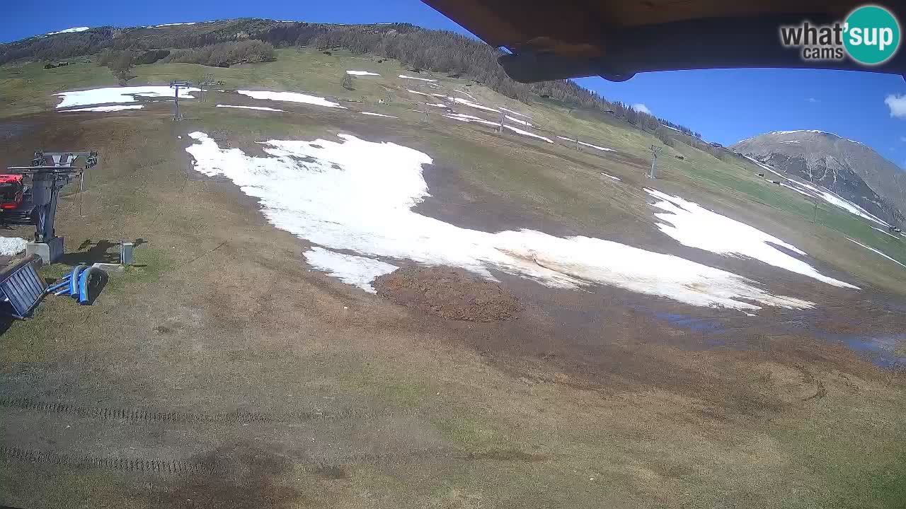 Livigno live webcam – view on Livigno Ski School area – LivignoGO
