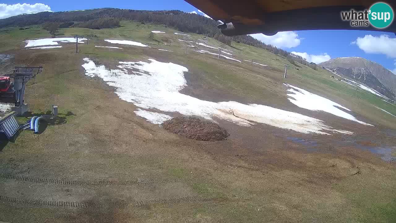 Livigno live webcam – view on Livigno Ski School area – LivignoGO