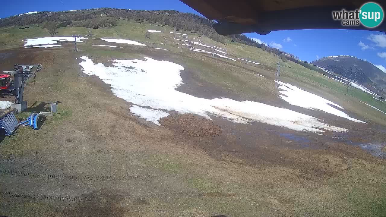 Livigno SKI webcam | Piste da SCI