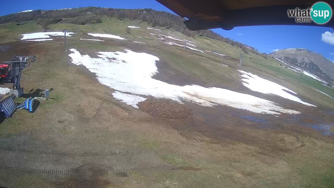 Livigno LIVE cam smučišče | pogled na smučarske proge