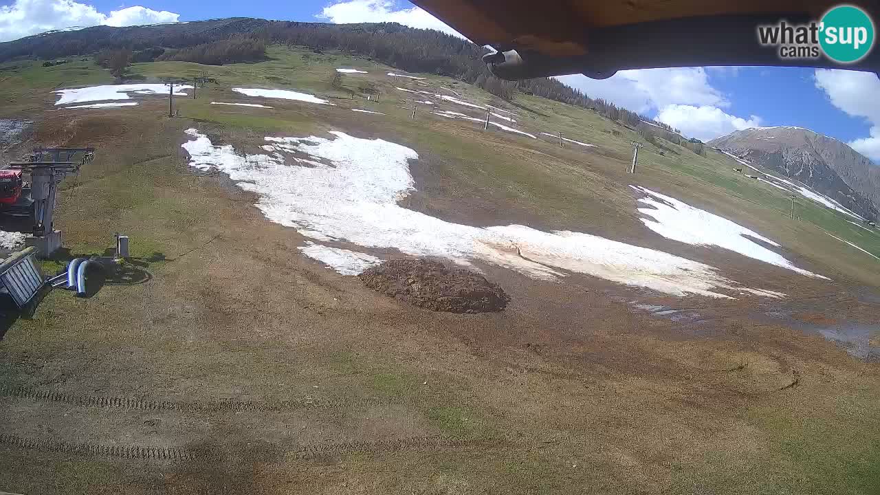 Livigno webcam – view on Livigno Ski School area – LivignoGO