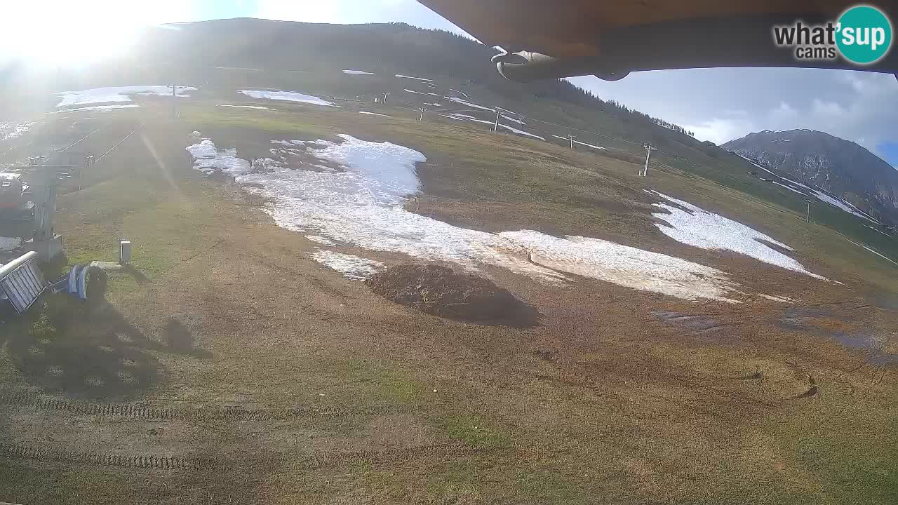 Livigno SKI webcam | Piste da SCI