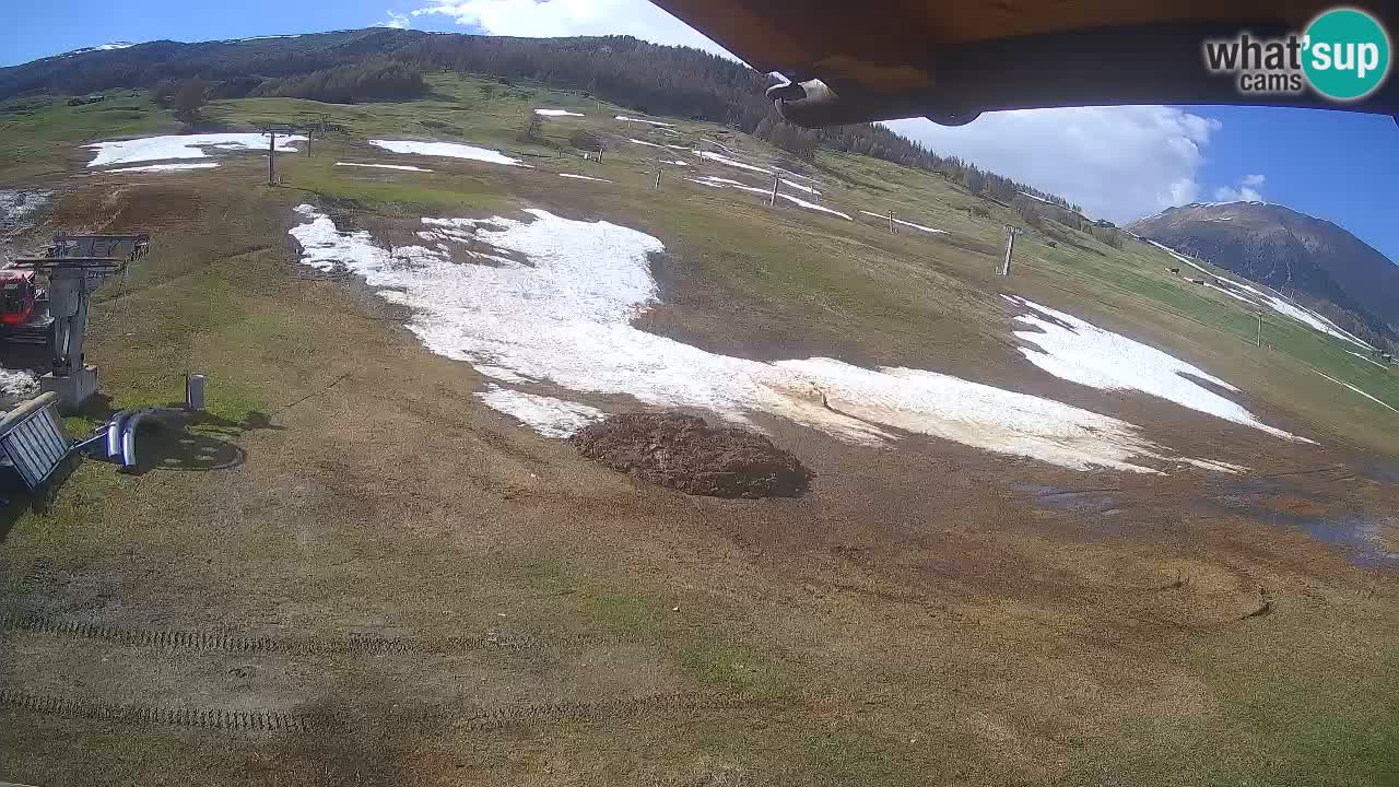 Livigno SKI webcam | Piste da SCI