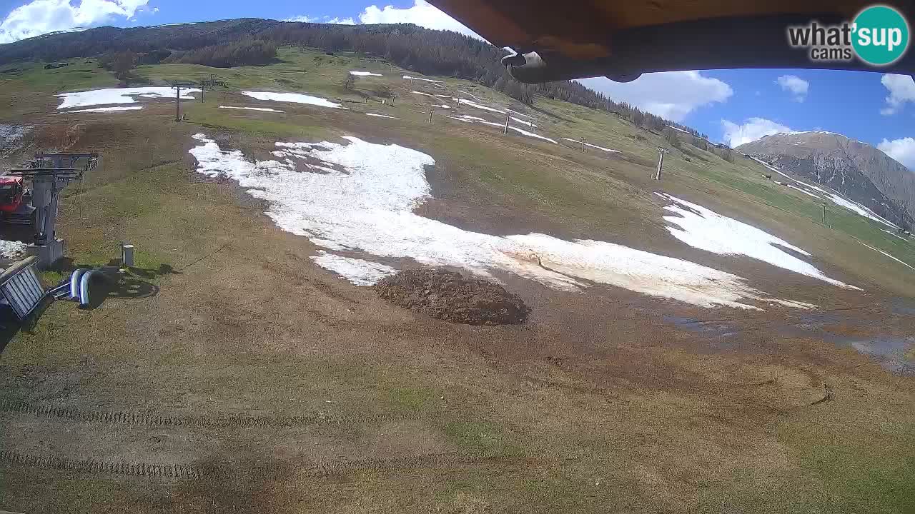 Livigno SKI webcam | Piste da SCI