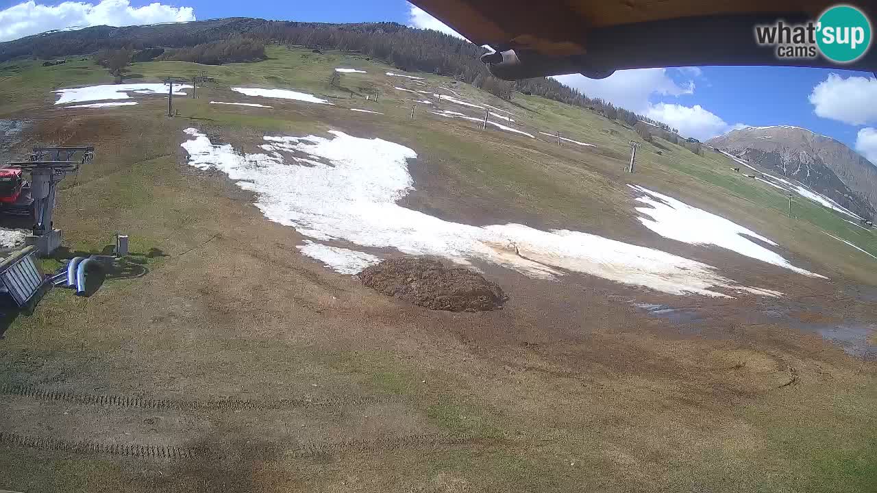 Livigno web kamera – pogled na Livigno Ski School area – LivignoGO