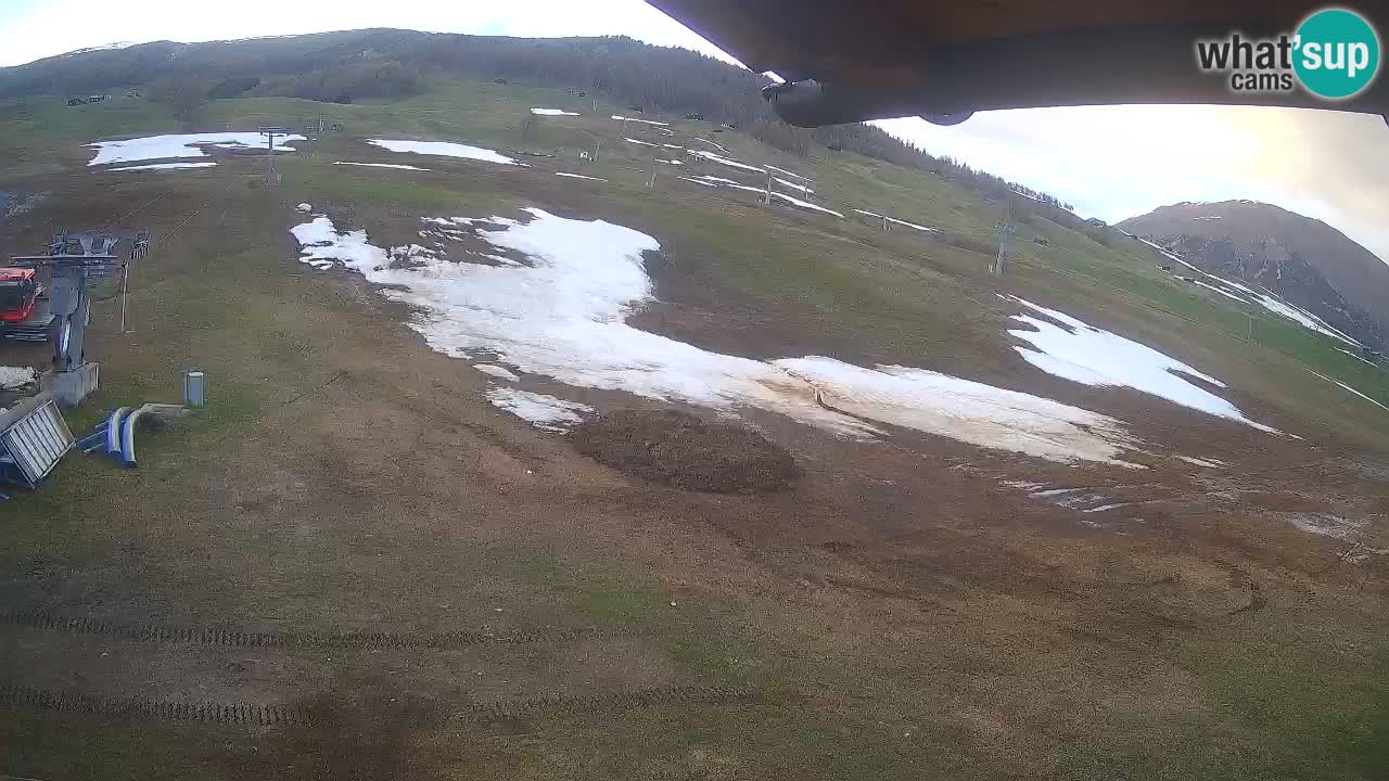 Livigno web kamera – pogled na Livigno Ski School area – LivignoGO