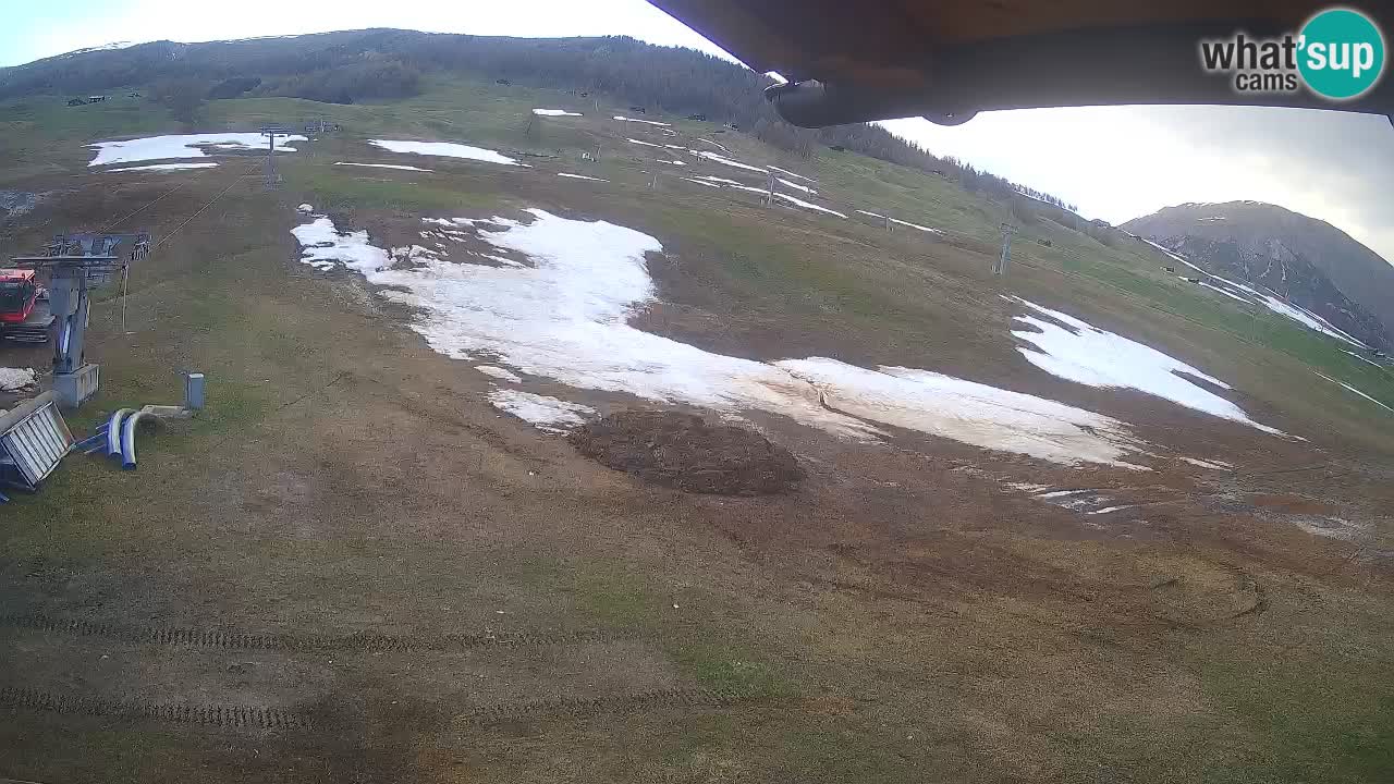 Livigno SKI webcam | Piste da SCI