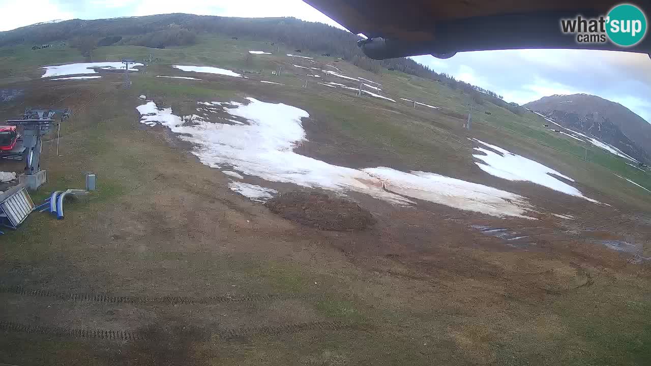 Livigno SKI webcam | Piste da SCI