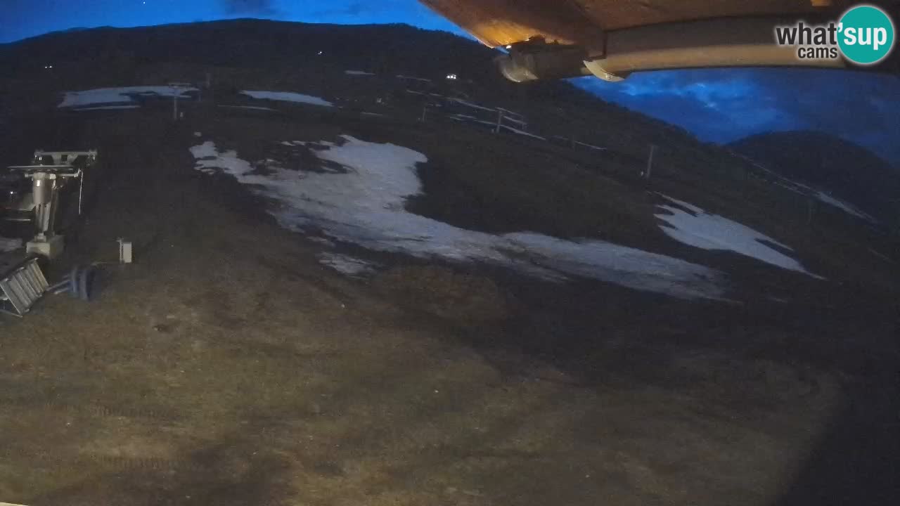 Livigno SKI webcam | Piste da SCI