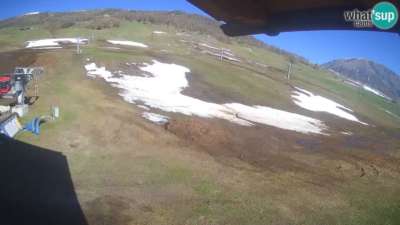 Livigno webcam – view on Livigno Ski School area – LivignoGO