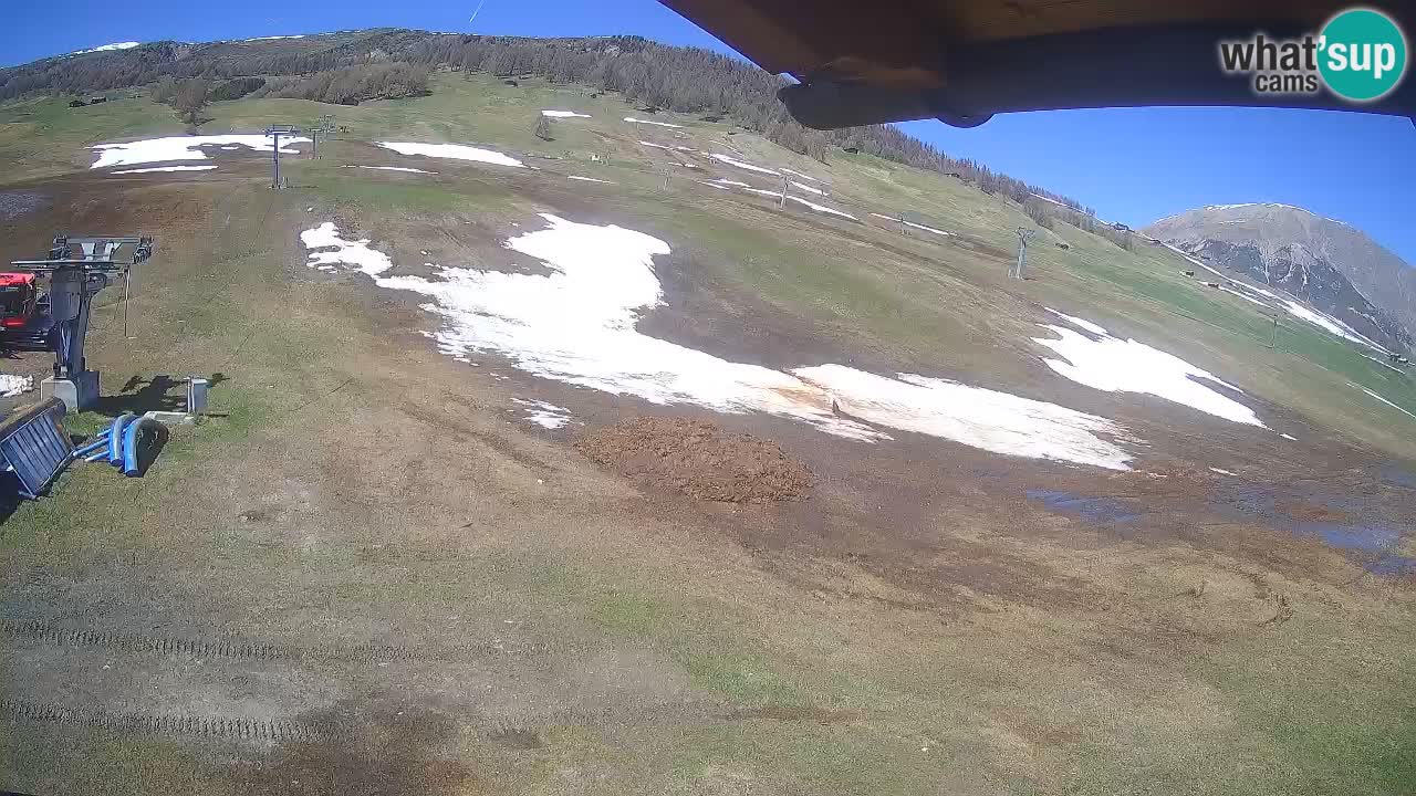 Livigno SKI webcam | Piste da SCI