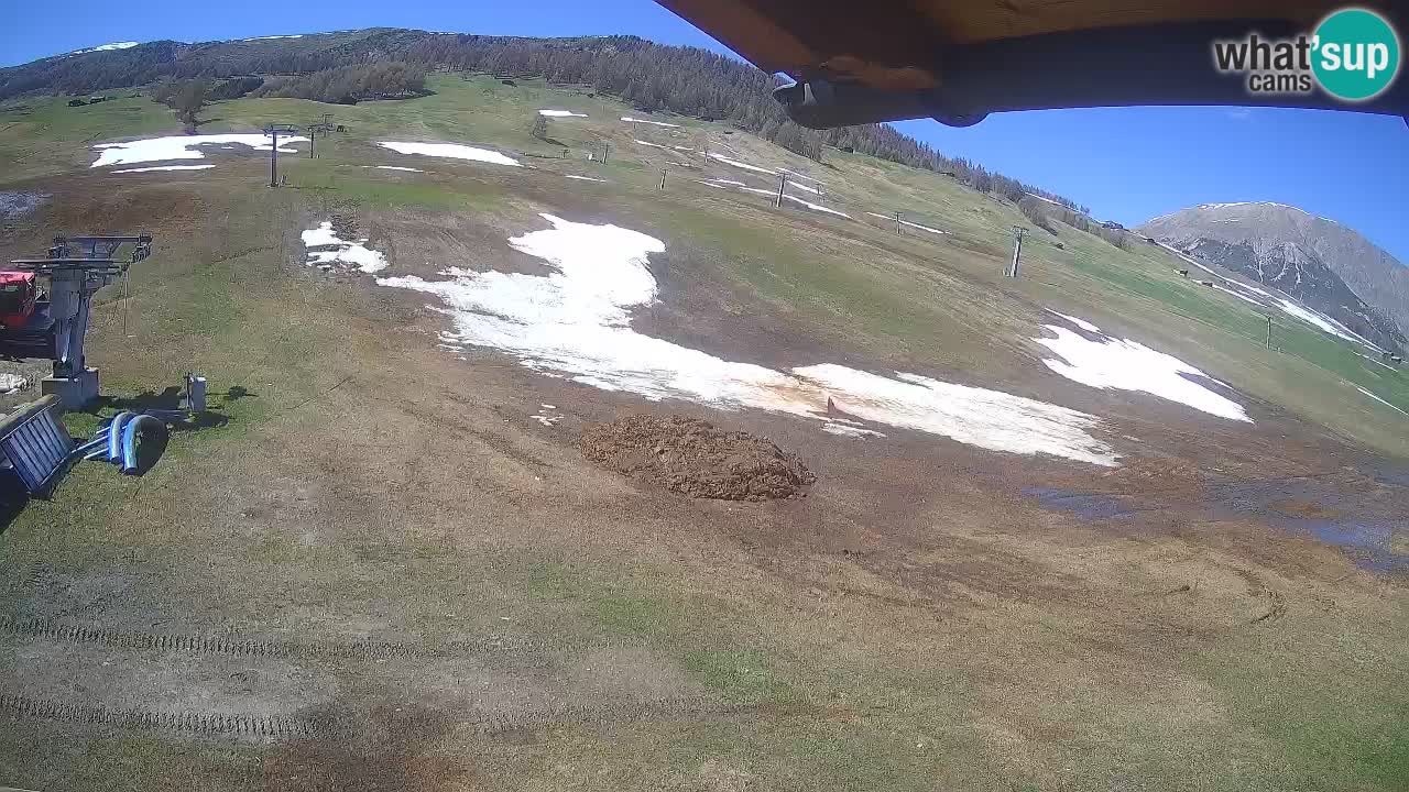 Livigno webcam – view on Livigno Ski School area – LivignoGO