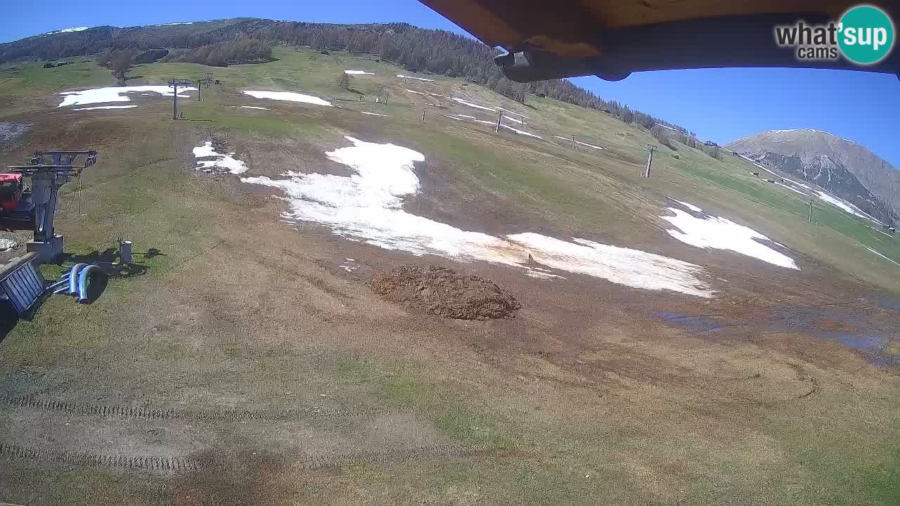 Livigno webcam – view on Livigno Ski School area – LivignoGO
