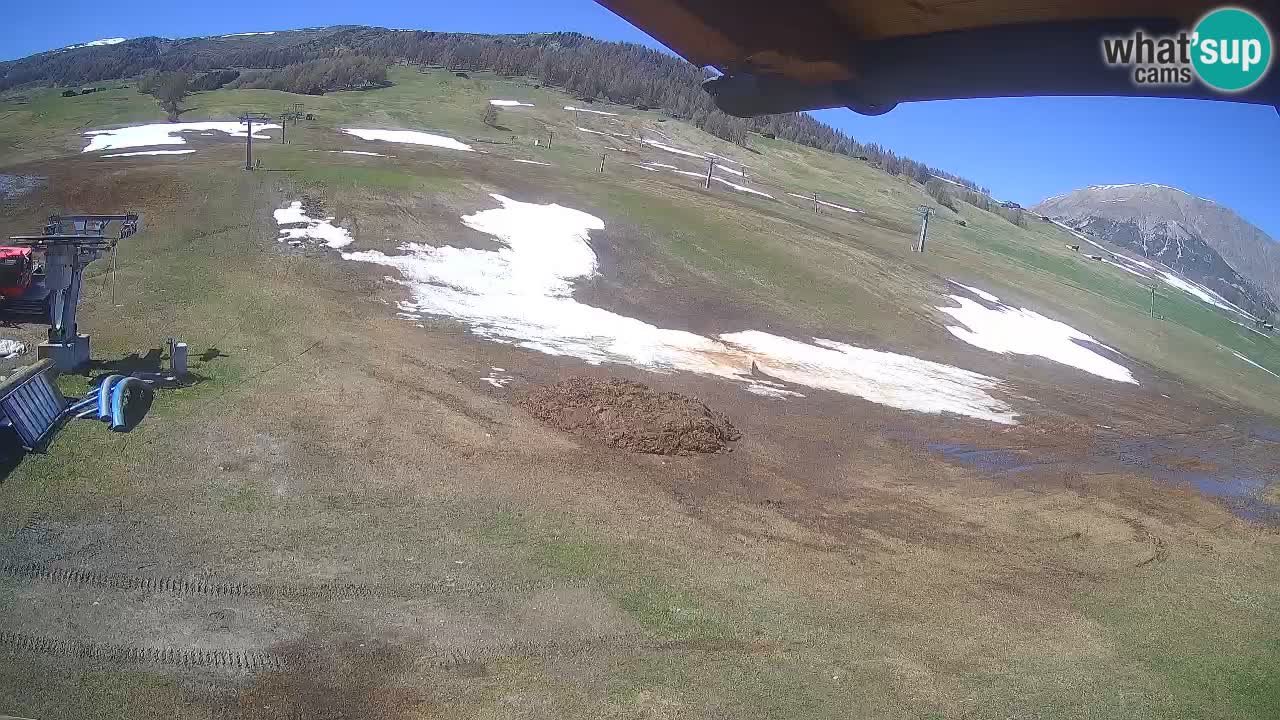 Livigno webcam – view on Livigno Ski School area – LivignoGO