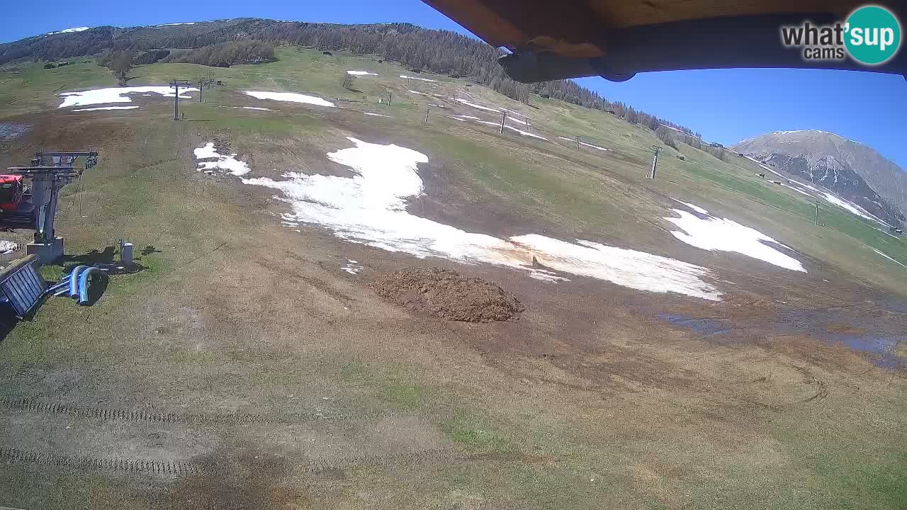 Livigno live webcam – view on Livigno Ski School area – LivignoGO