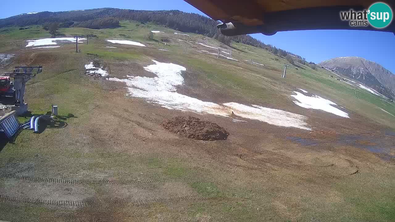 Livigno live webcam – view on Livigno Ski School area – LivignoGO