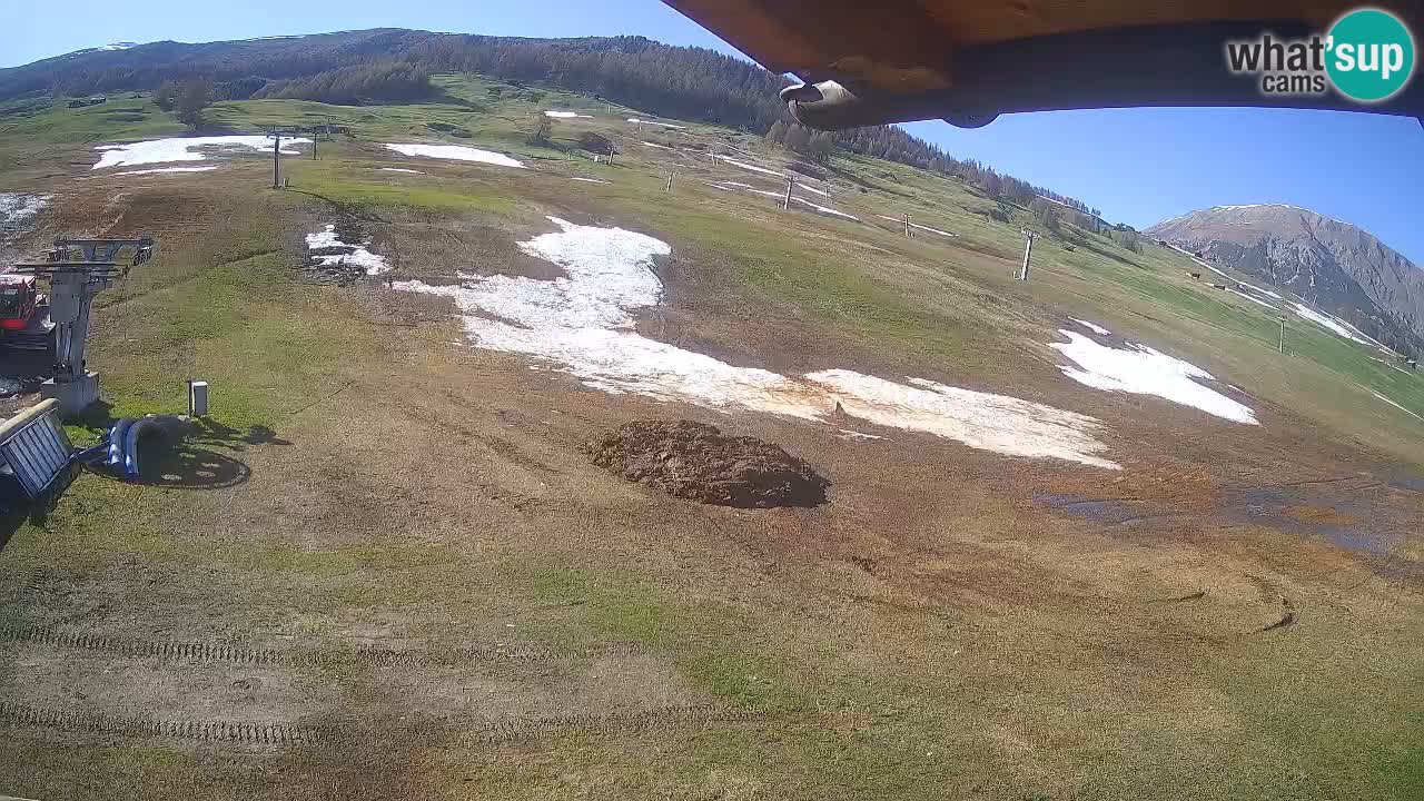 Livigno live webcam – view on Livigno Ski School area – LivignoGO