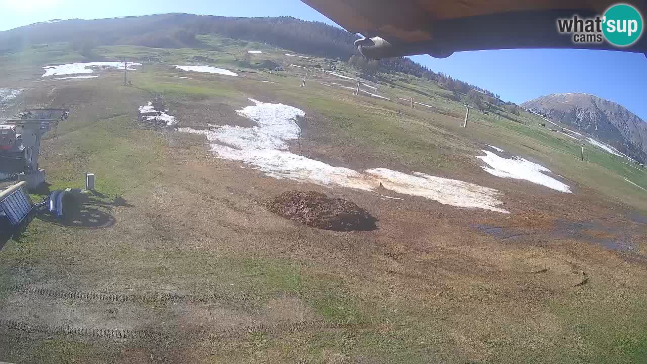 Livigno LIVE cam smučišče | pogled na smučarske proge