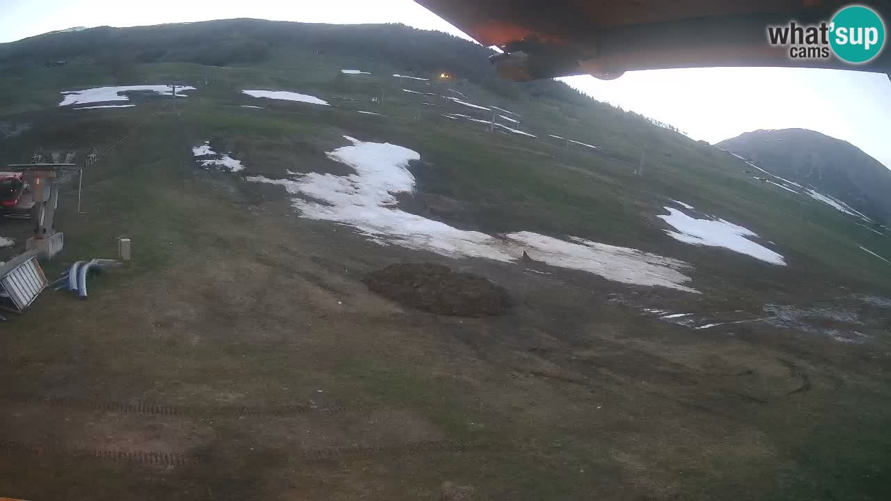 Livigno SKI webcam | Piste da SCI