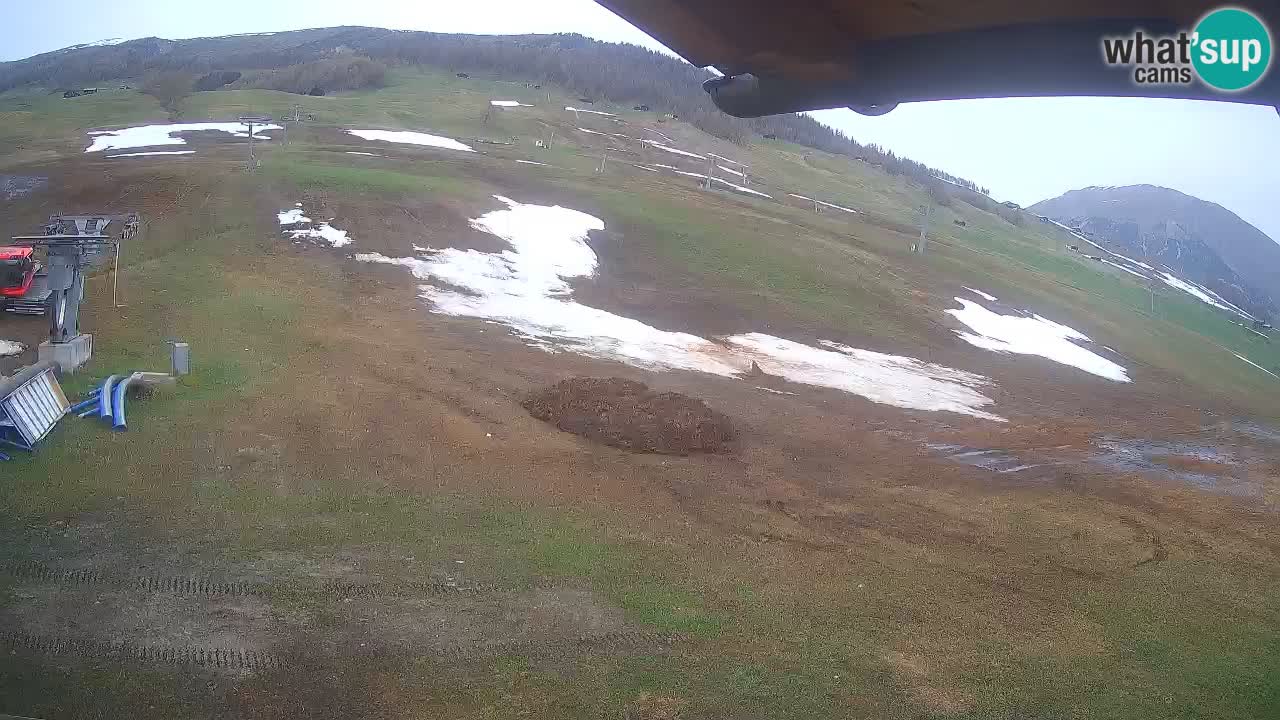 Livigno web kamera – pogled na Livigno Ski School area – LivignoGO