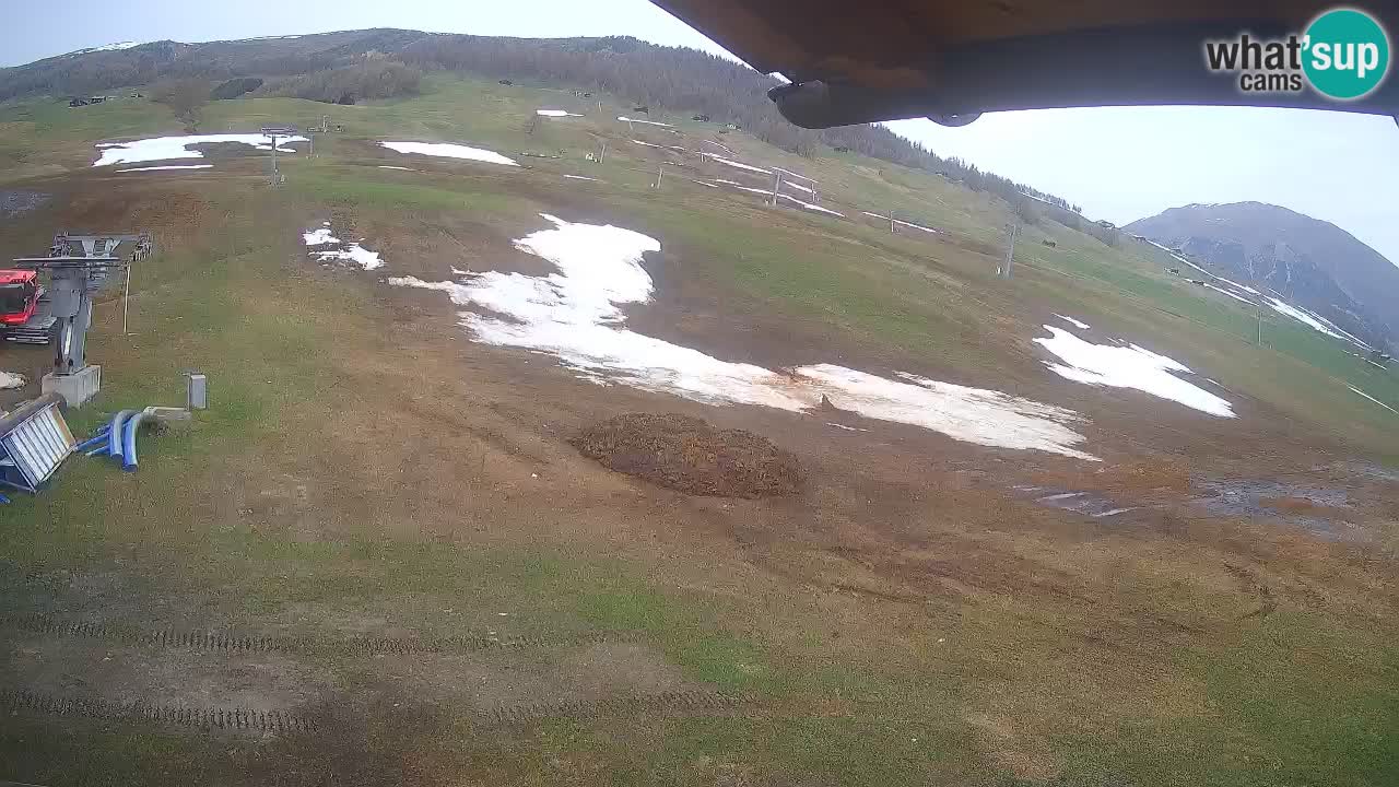 Livigno SKI webcam | Piste da SCI