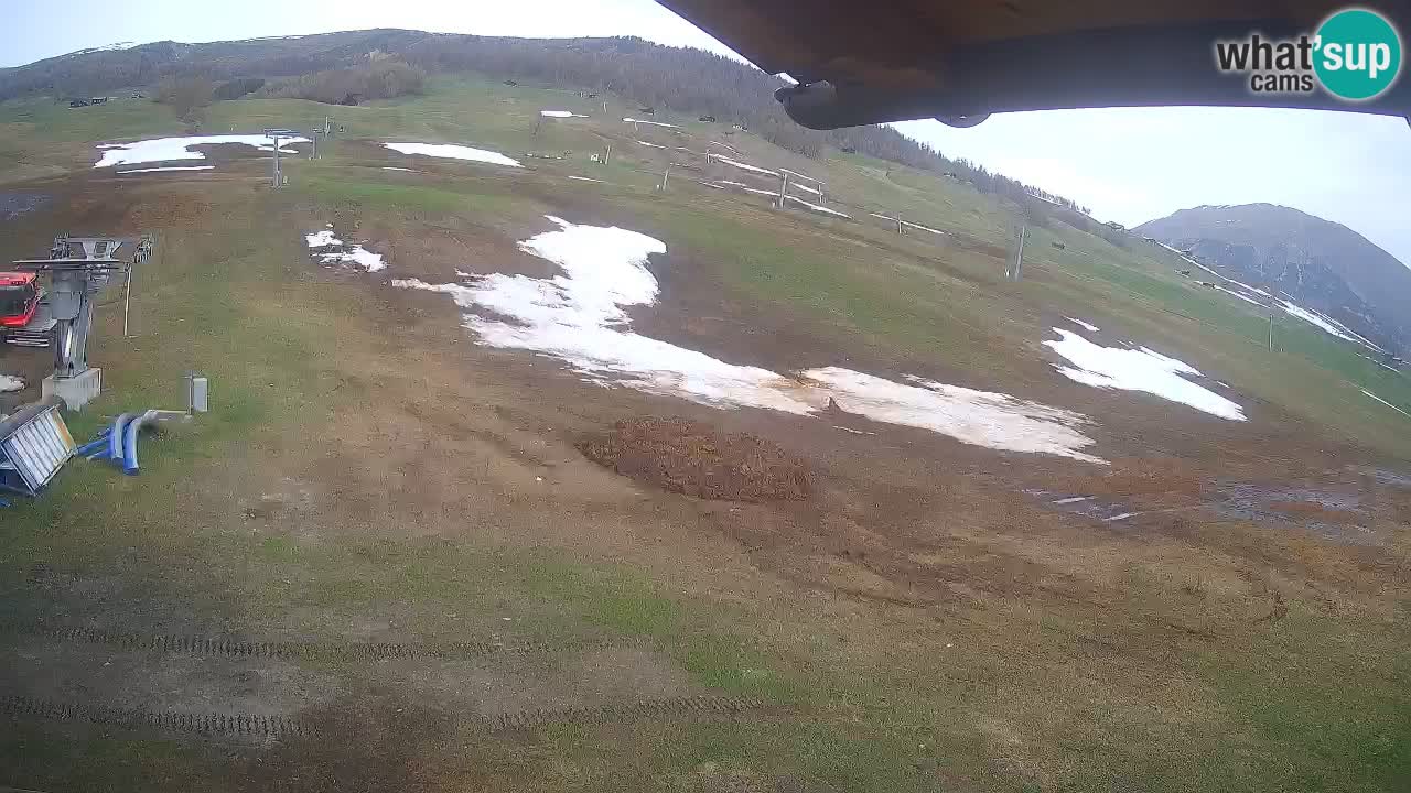 Livigno live webcam – view on Livigno Ski School area – LivignoGO