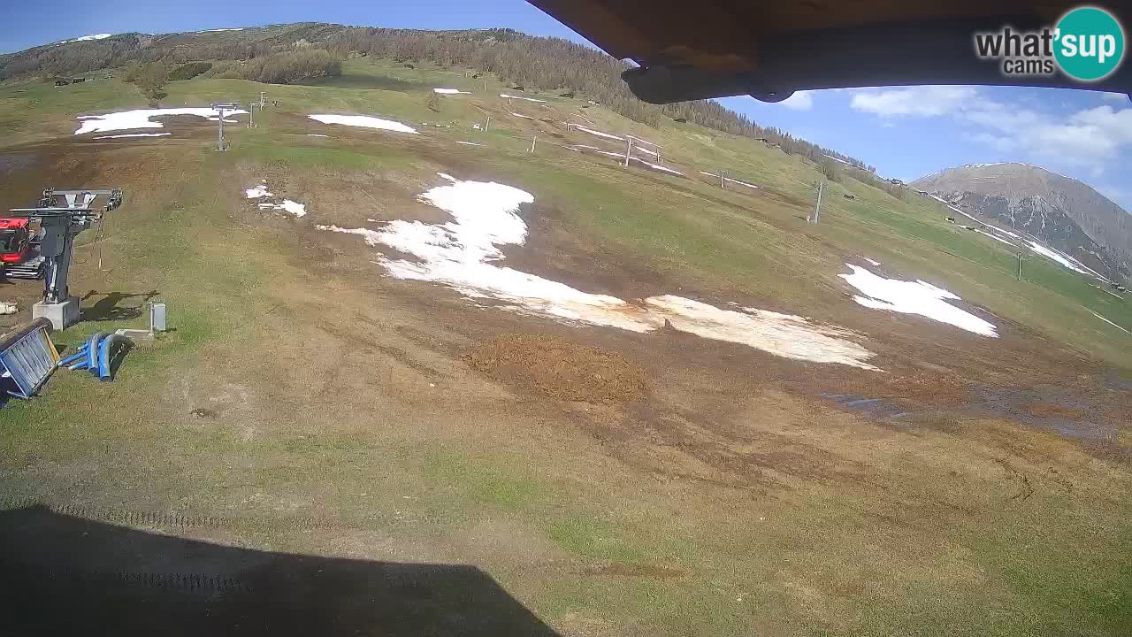 Livigno webcam – view on Livigno Ski School area – LivignoGO