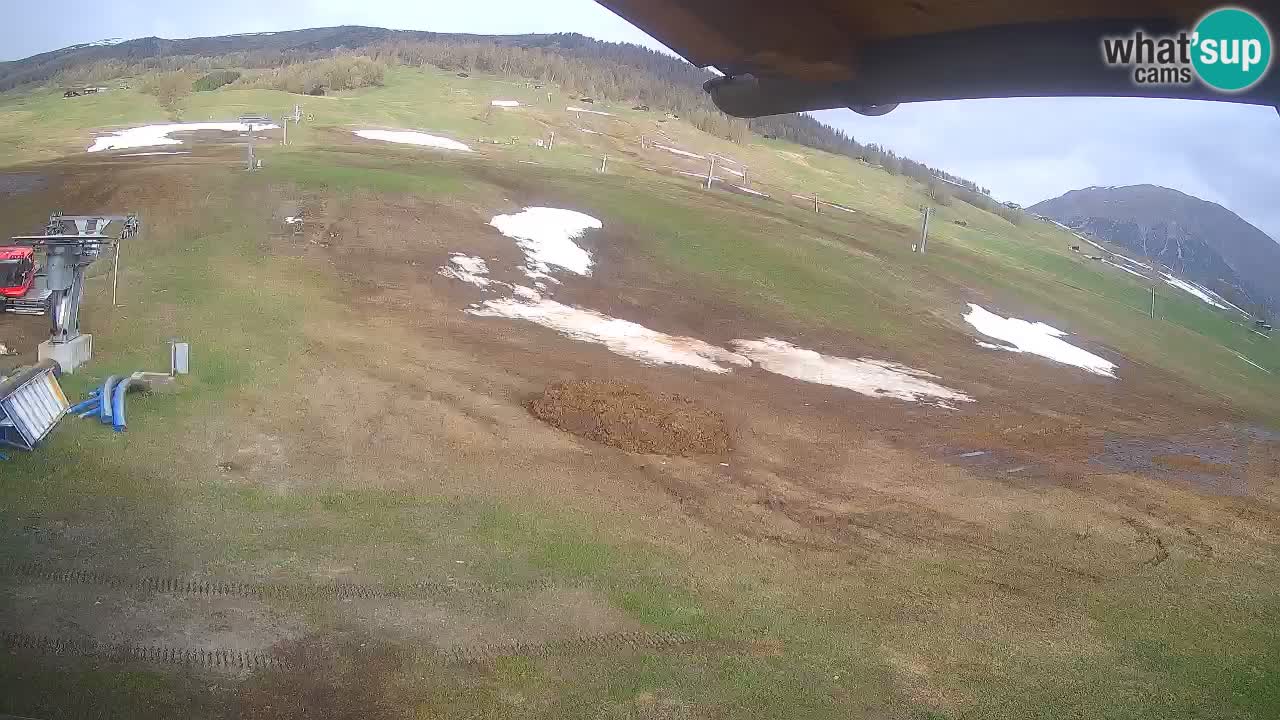 Livigno web kamera – pogled na Livigno Ski School area – LivignoGO
