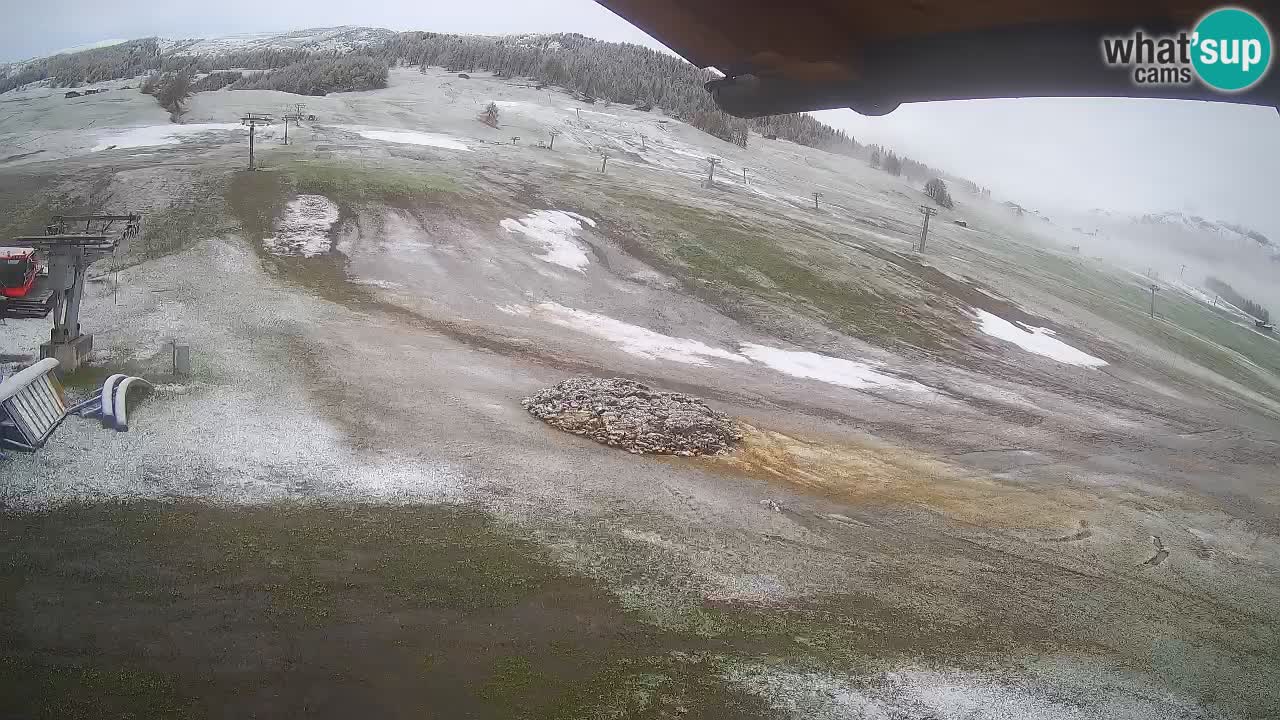 Livigno web kamera – pogled na Livigno Ski School area – LivignoGO