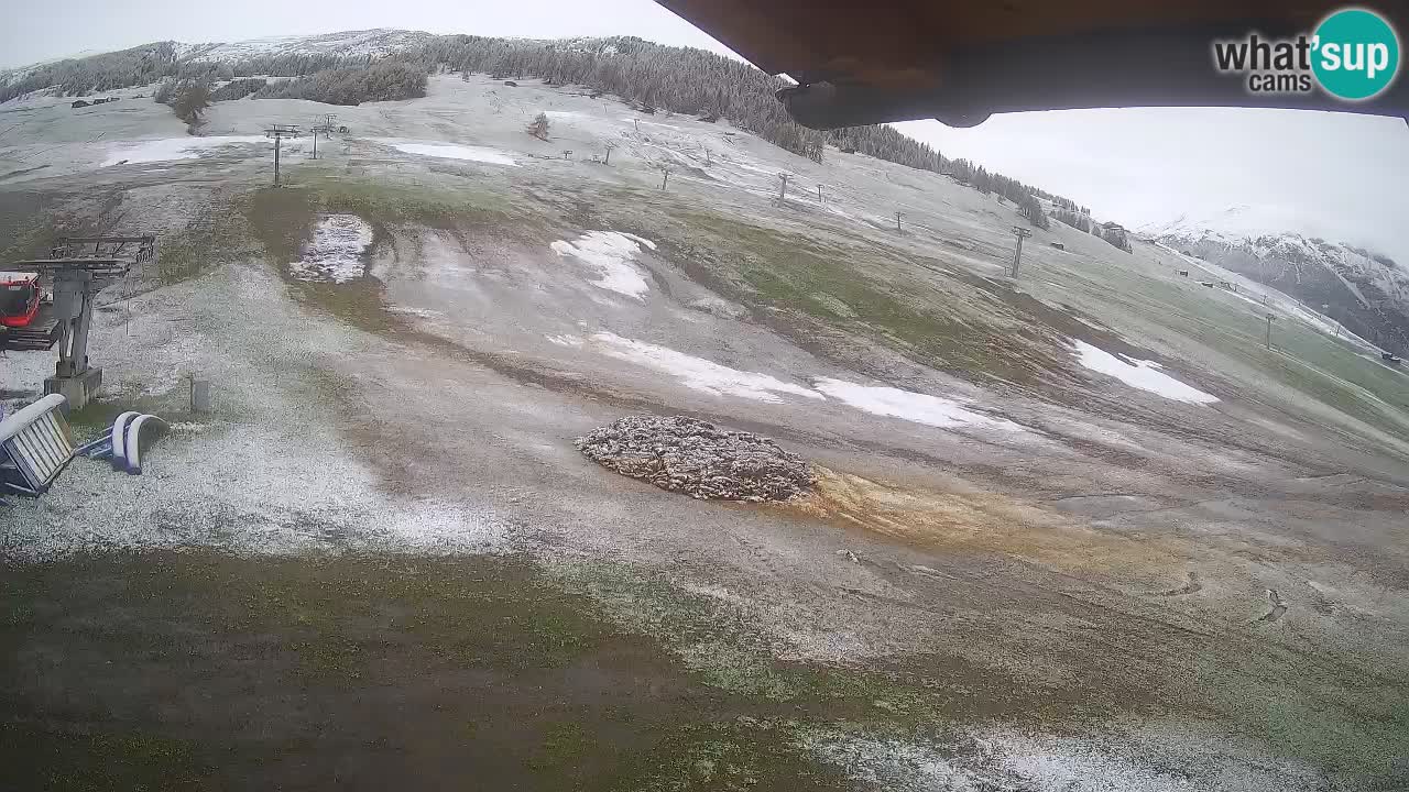 Livigno webcam – view on Livigno Ski School area – LivignoGO