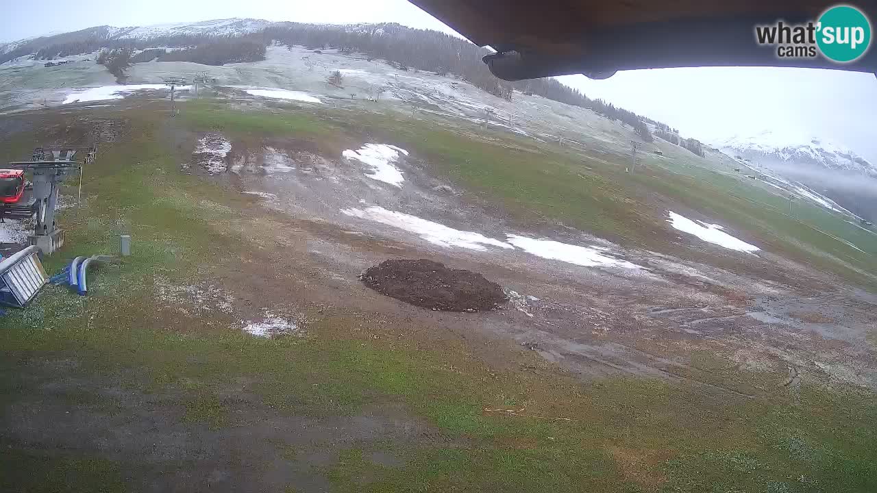 Livigno webcam – view on Livigno Ski School area – LivignoGO