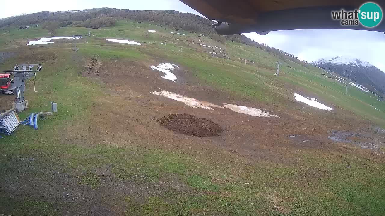 Livigno live webcam – view on Livigno Ski School area – LivignoGO