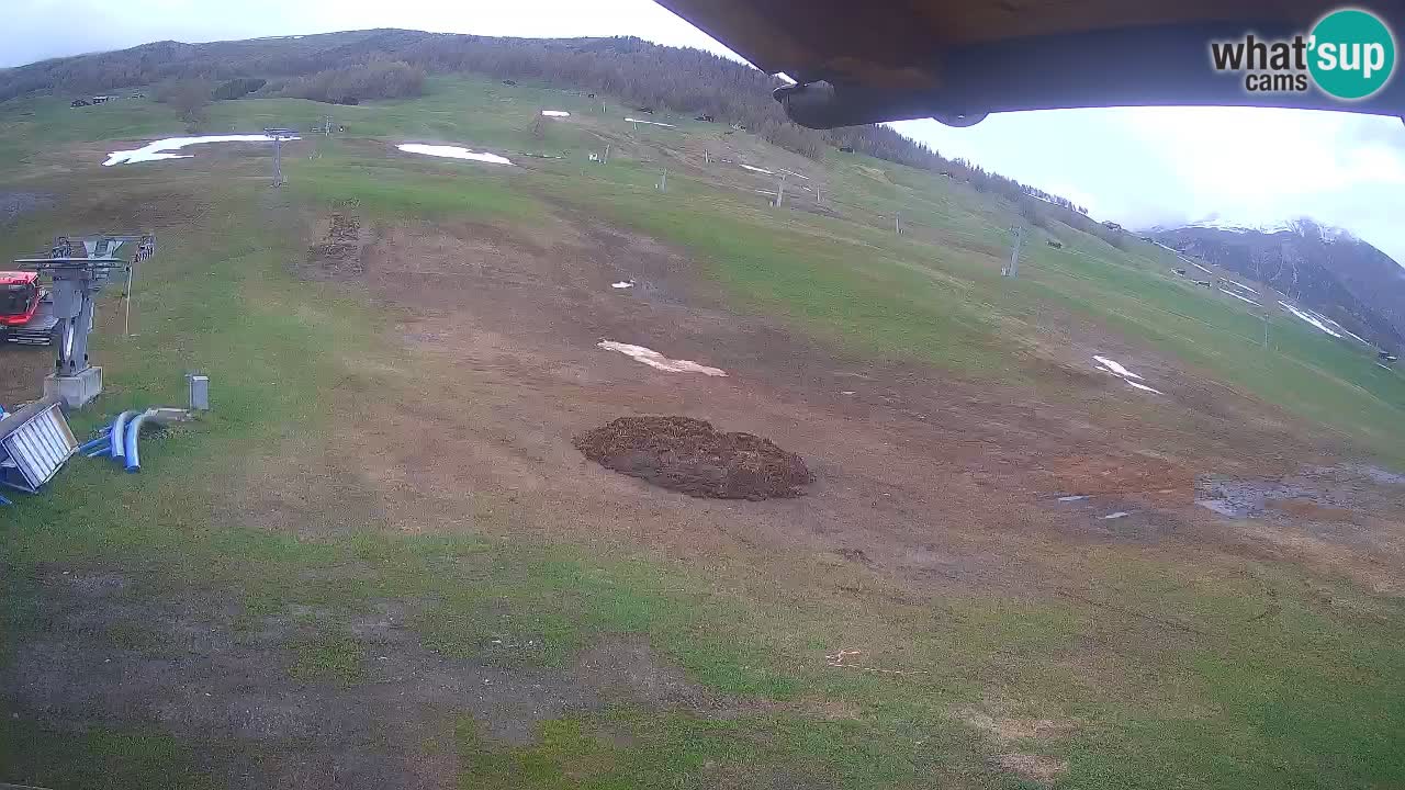 Livigno SKI webcam | Piste da SCI