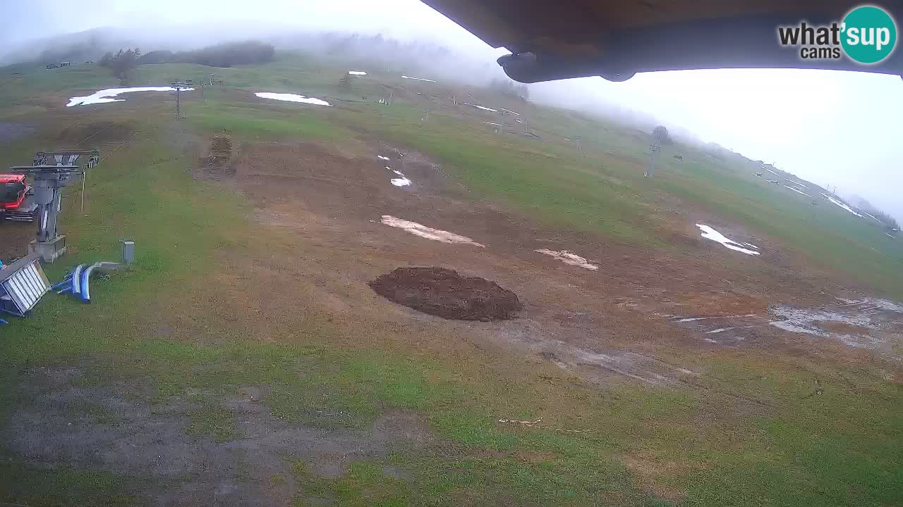 Livigno SKI webcam | Piste da SCI