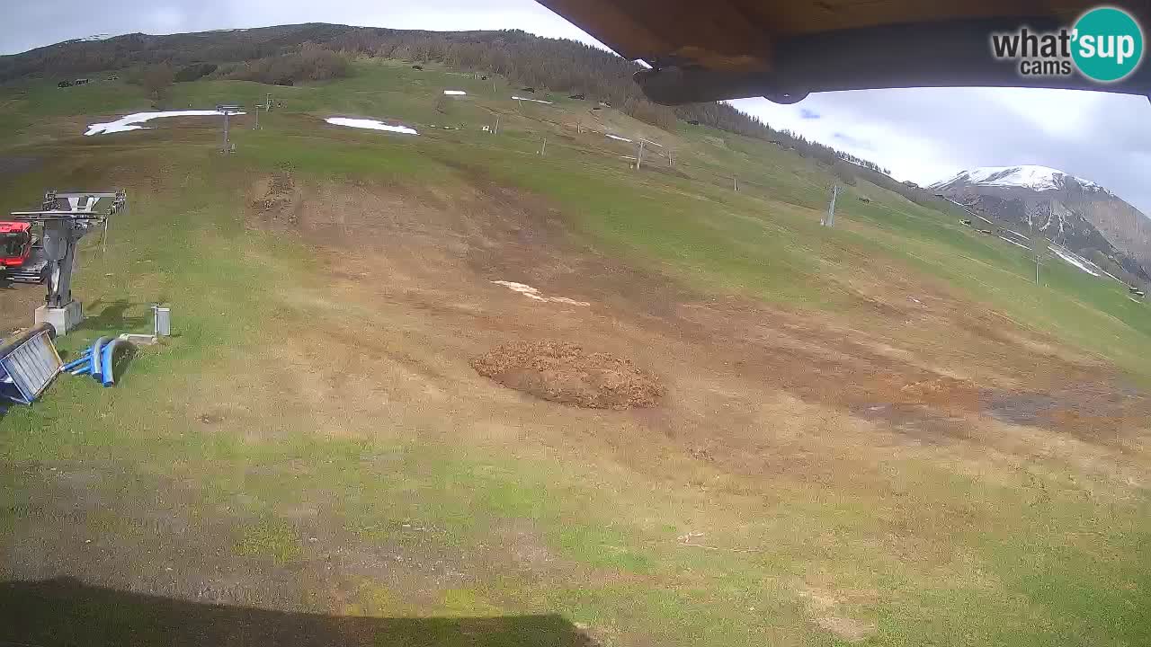 Livigno LIVE cam smučišče | pogled na smučarske proge