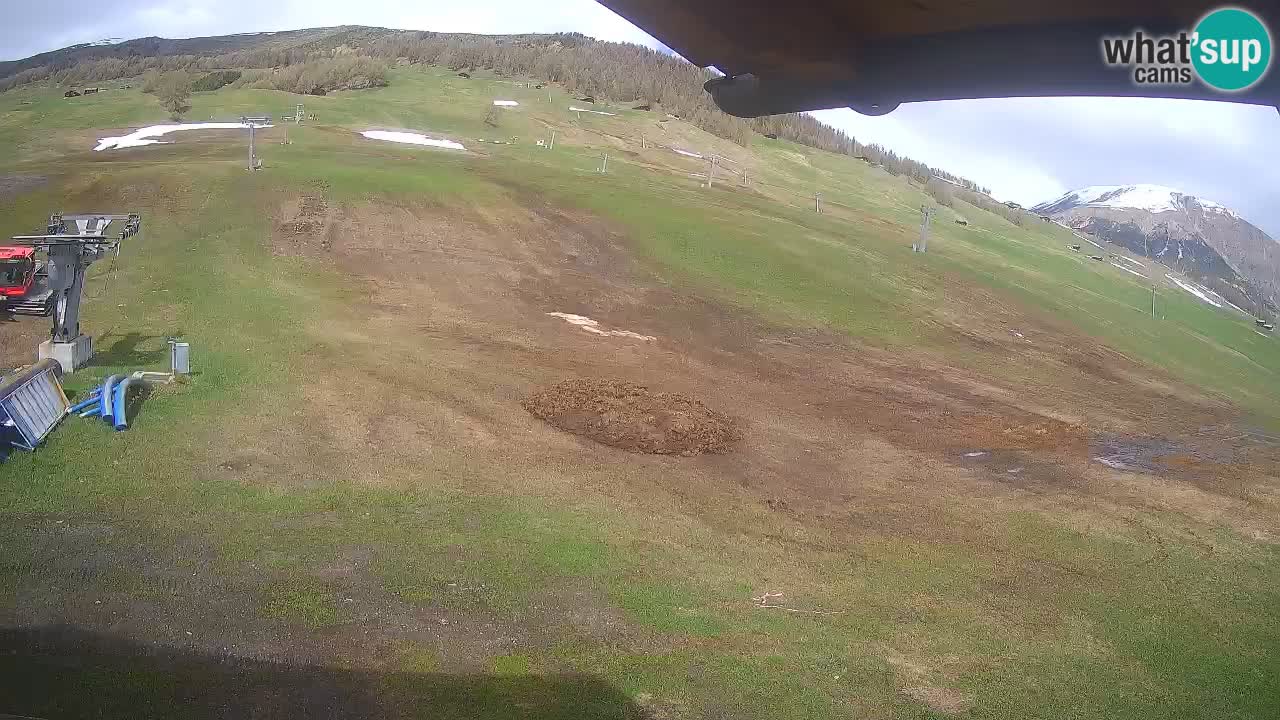 Livigno webcam – view on Livigno Ski School area – LivignoGO