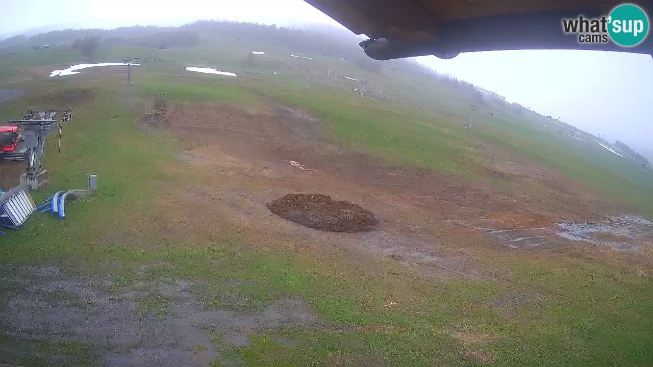 Livigno SKI webcam | Piste da SCI