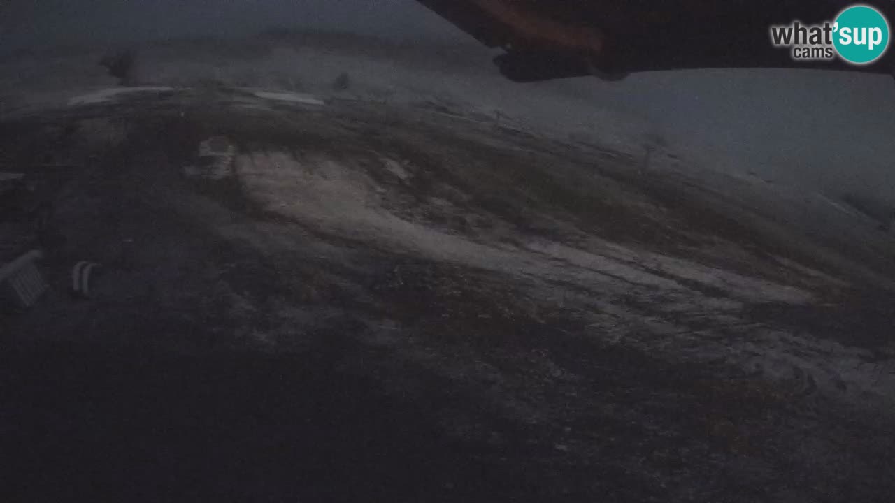 Livigno SKI webcam | Piste da SCI