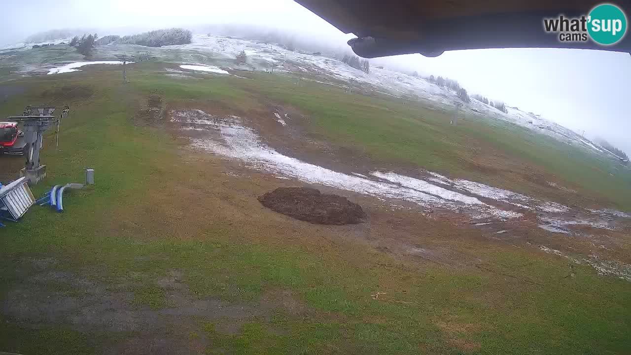 Livigno SKI webcam | Piste da SCI