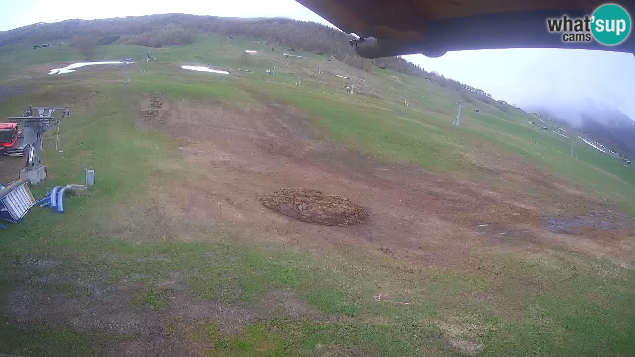 Livigno live webcam – view on Livigno Ski School area – LivignoGO