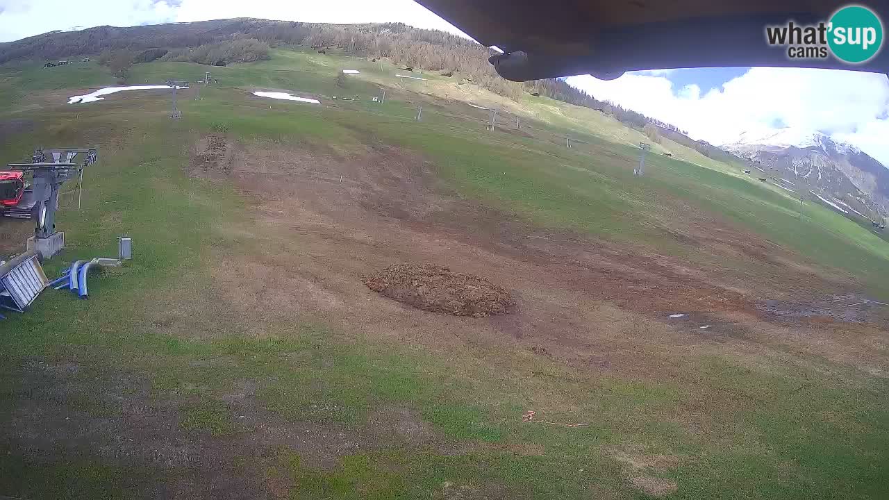 Livigno SKI webcam | Piste da SCI