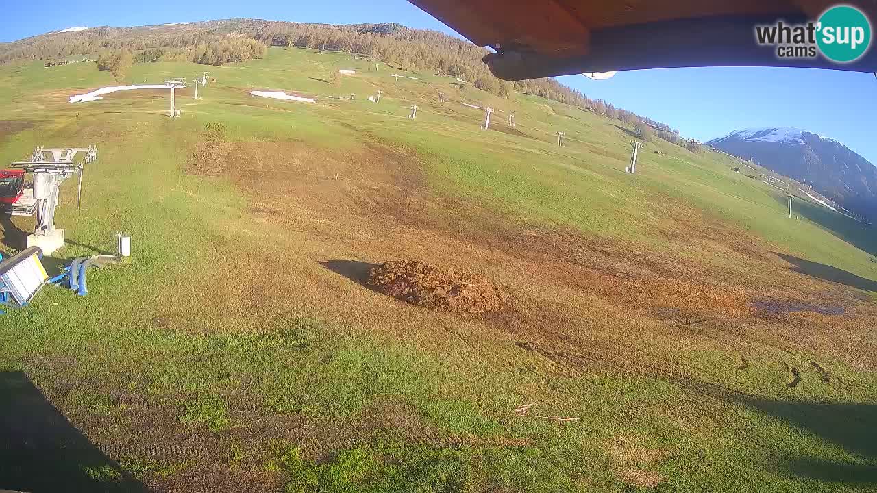 Livigno SKI webcam | Piste da SCI