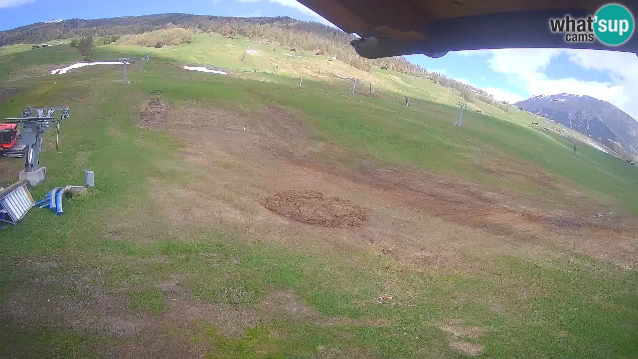 Livigno SKI webcam | Piste da SCI