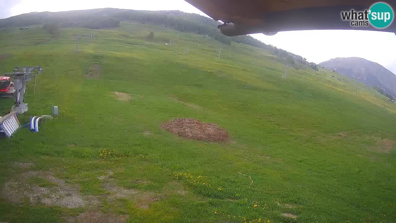 Livigno webcam – view on Livigno Ski School area – LivignoGO