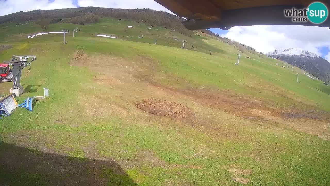 Livigno SKI webcam | Piste da SCI