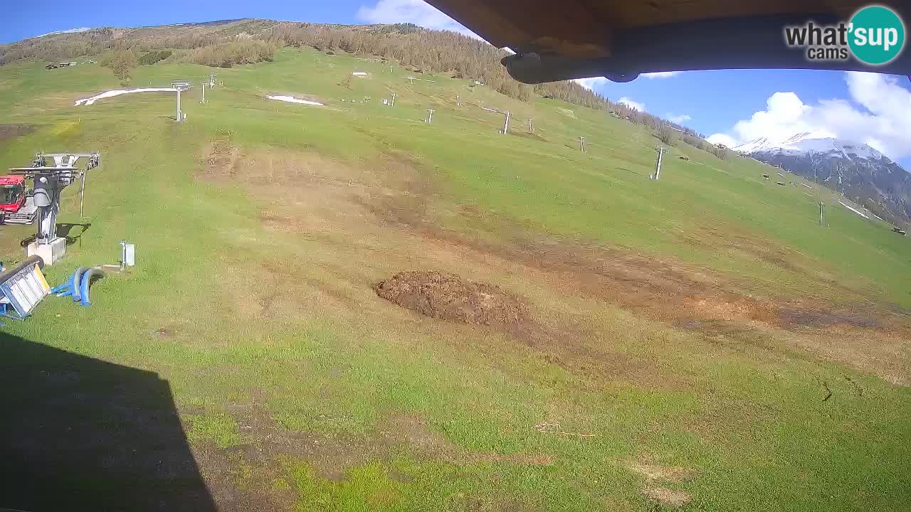 Livigno webcam – view on Livigno Ski School area – LivignoGO