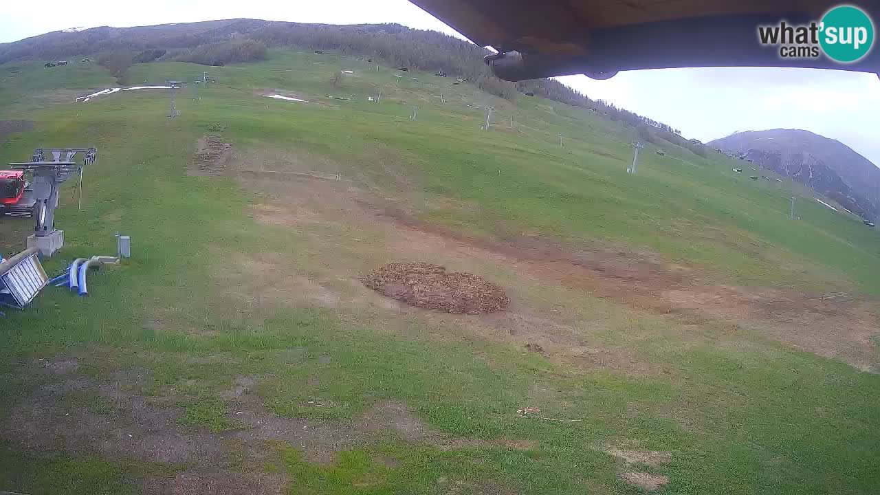 Livigno webcam – view on Livigno Ski School area – LivignoGO