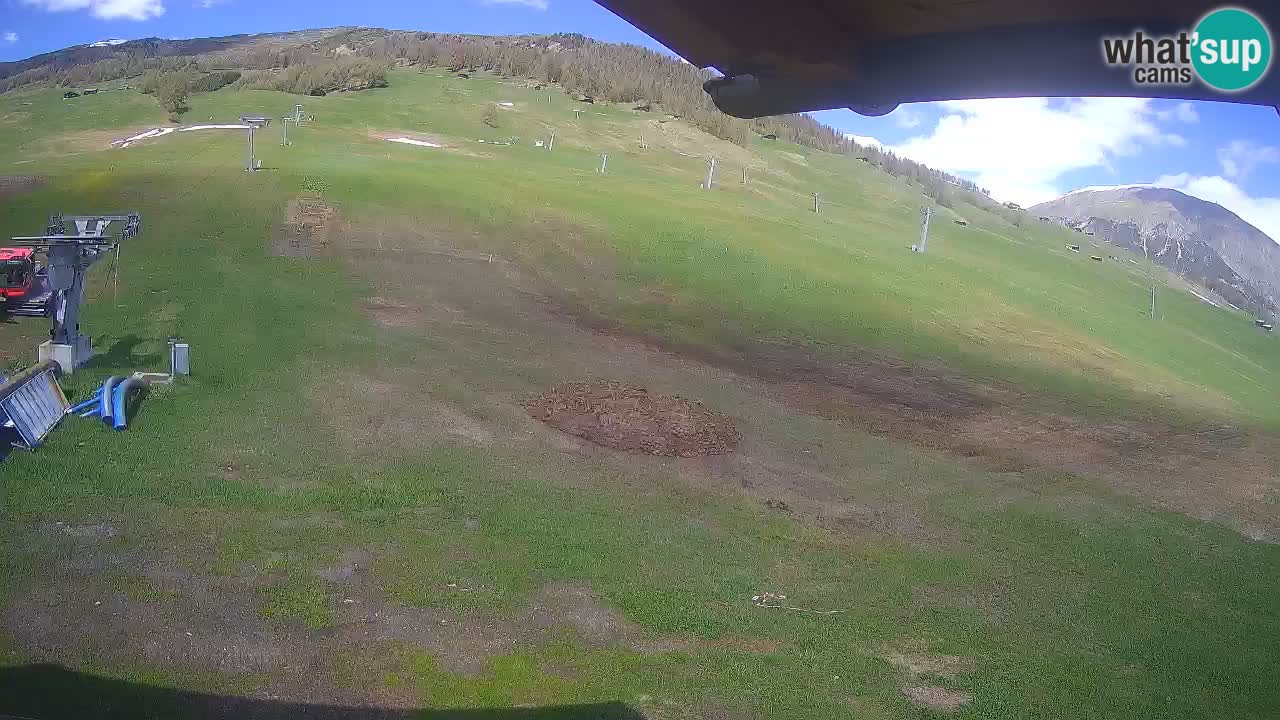 Livigno live webcam – view on Livigno Ski School area – LivignoGO