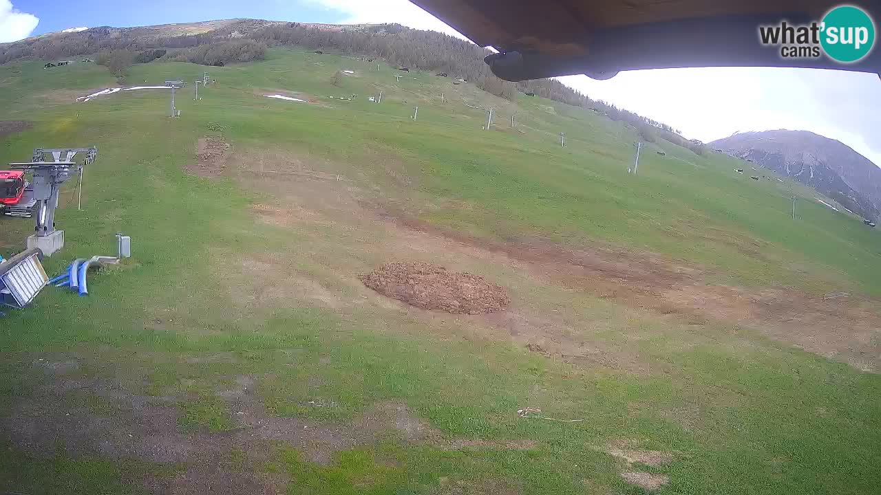 Livigno SKI webcam | Piste da SCI