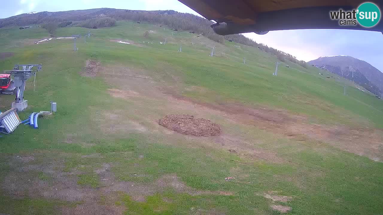 Livigno live webcam – view on Livigno Ski School area – LivignoGO